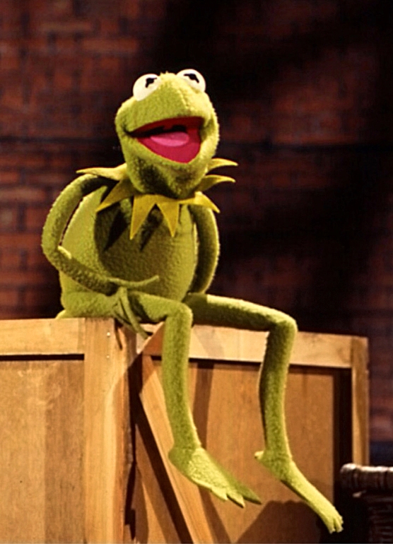 Kermit the Frog Muppet Wiki