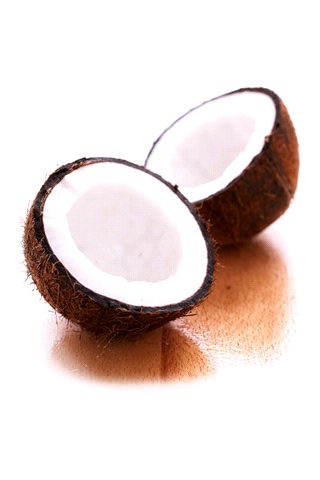 Coconut Wiki