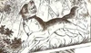 Kurojaki