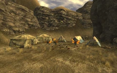 Tribal Village