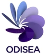 Odisea2011