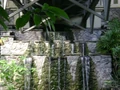DSC02822.jpg