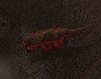 Image of Spinescale Basilisk