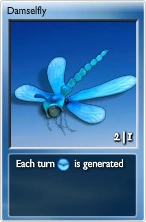 Damselfly