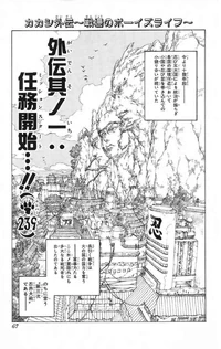 Chapter 239