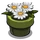 Daisies-icon.png