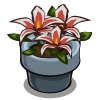 Lilies-icon.png