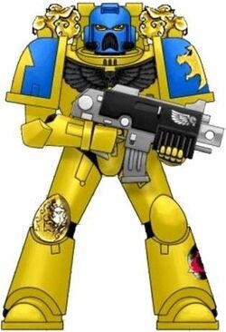 Celestial Lions Marine