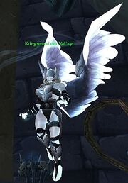 Kriegsmaid der Valkyr