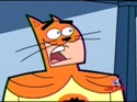 CatmanCrimsonChin64