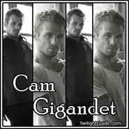 Cam-gigandet-2