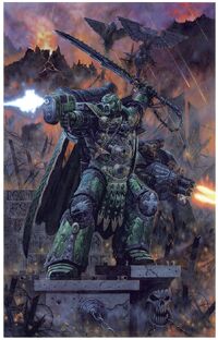 Salamanders Vets