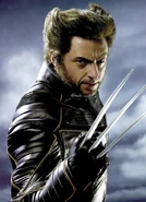 Wolverine.JPG