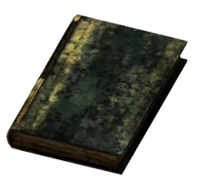 Large Burned Book