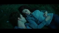 Meadow-scene.jpg