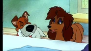 Dodger-and-Rita-oliver-and-companys-dodger-7232564-768-432