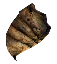Bug Meat