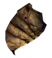 Bug Meat