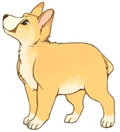 Corgi default.PNG