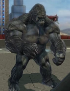 Gorilla Technician