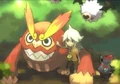 LittleN.png