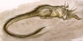 Anooba.jpg