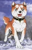 Pikku-Riki-WW-color-1-
