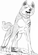 Riki001-1-