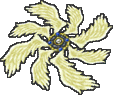 FF8-ShootingStar