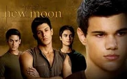 New-moon-2323-wolf pack