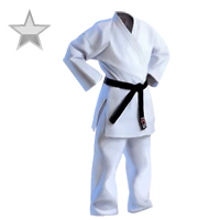 Huge item jiujitsumaster silver 01.png