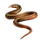 Item aesculapiansnake 01