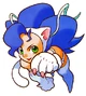 PocketFelicia