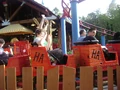 DSC02897.jpg