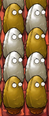 Tallnuts