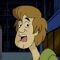 PortalShaggy