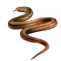 Huge item aesculapiansnake 01.png