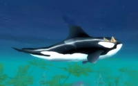 Blackfin