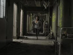 Images6