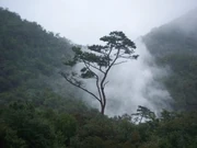 10 Rain.jpg