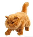 Crookshanks Plush.png