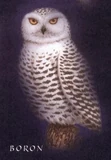 Boronpainting