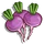 Turnip-icon