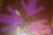 5543370143 2cd019d7fa b