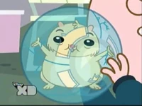 Cd