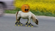AO Pony
