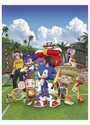 Sega narrowweb 300x416,0