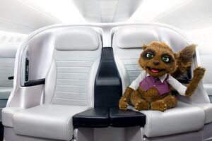 AIRPLANE RICO