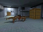 Early Bullsquids freezer