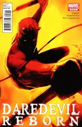 Daredevil Reborn Vol 1 2